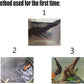 Tfwadmx Natural Driftwood for Aquarium, 6-8" 4 Pcs Wood Aquarium Decorations Fish Tank Log Reptile Tree Branches, Assorted Spider Wood Branch
