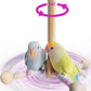 Bird Stand Perch Toy, 360° Rotating Natural Wooden Parrot Perch for Bird Cages, Colorful