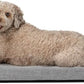 Diggs Bolstr Orthopedic Dog Bed with Headrest - Dog Crate Bed for Evolv Crate & Other Standard Pet Kennels - Durable & Comfortable - (Intermediate)