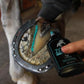 Zomp Liquid Hoof Thrush and White Line Treatment for Horses: Effective for Thrush Relief and Prevention on All Hooved Animals