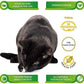 LIFE ESSENTIALS BY CAT-MAN-DOO Freeze Dried Chicken Little's for Dogs & Cats -5 oz (4) Pack