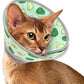 Cat Cone Collar Soft, Comfortable Cat Recovery Collar Pet Cone for Small Large Cats, Lightweight Elizabethan Collar for Cats Kittens After Surgery Prevent from Licking Wounds, Green, M