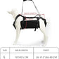 Coodeo Dog Lift Harness, Support & Recovery Sling, Pet Rehabilitation Lifts Vest Adjustable Breathable Straps for Old, Disabled, Joint Injuries, Arthritis, Paralysis Dogs Walk (Black,L)