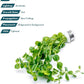 Live Plant - Rotala Indica Green - Easy Care, Moderate Light, Bright Green Accent, Freshwater Aquatic Plant for Aquascaping - Lead Bunch
