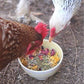 Pampered Chicken Mama Best Eggs Ever! Nesting Herbs for Chickens (10 Ounces) Calcium Supplement for Chickens | Chicken Feed Supplies, Hen Treats for Coops
