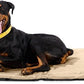 K9 Ballistics Tough Ripstop Dog Crate Pad - Durable & Machine Washable with Non-Skid Bottom and 120-Day Warranty, Fits 48" Wire Crates - X-Large, Sandstone