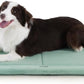 Made4Pets Dog Crate Pad Bed for Medium Large Dogs, Washable & Reversible, Anti-Slip Kennel Mat for Cozy Sleeping, Soft Fluffy Dog Bed for Indoor & Outdoor Use, 35"x23", Green