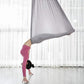 F.Life Aerial Silk Yoga Hammock & Swing for yoga Inversion,Strength training,starter hardware kit