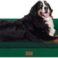 Large Dog Bed Orthopedic Washable Extra XXXLarge Big Dog Bed with Washable Bolster & Memory Foam Couch Sofa - Waterproof with Removable Cover - Emerald