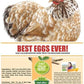 Pampered Chicken Mama Best Eggs Ever! Nesting Herbs for Chickens (4 Pounds) Calcium Supplement for Chickens | Chicken Feed Supplies, Hen Treats for Coops