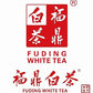 Organic Silver Needle White Tea, Greenhilltea Natural Organic Silver Needle White Tea has a savoury aroma – 8 OZ