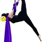 DASKING Aerial Silks Starter Kit - Durable 11Yards of Aerial Yoga Hammock with Hardware, Aerial Swing for Acrobatic Flying Yoga & All Levels (Aerial Rigging Point Up to 14ft)