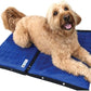 Dog Cooling Pad Dog Cooling Products Hydro Cooling Mat (23"x18") (2 Pack)