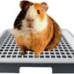 Guinea Pig Litter Tray Pan with Grate for Cage - Small Animal Potty Trainer - Rattie, Chinchilla, and Pet Litter Box - Easy-Clean, Space-Saving Design - 9.8x7.6x1.18 in