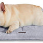 Made4Pets Dog Crate Pad Bed for Medium Dogs, Washable & Reversible, Anti-Slip Kennel Mat for Cozy Sleeping, Soft Fluffy Dog Bed for Indoor & Outdoor Use, 29"x21", Gray