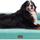 Large Dog Bed Orthopedic Washable, Orthopedic Dogs Bed with Removable Bolsters, Washable Beds for Large Dogs, Waterproof Pet Beds and Non-Slip Bottom, Extra Aqua Blue XXXLarge Dog Sofa