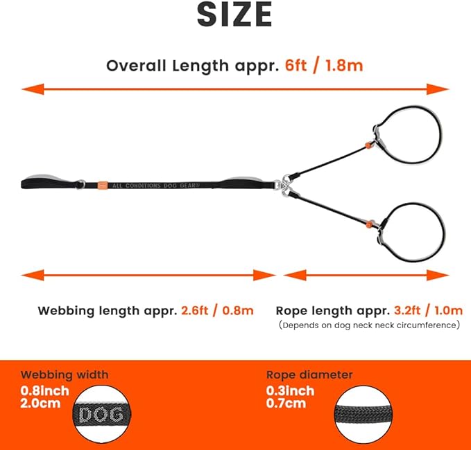 Howgo Double Slip Leash Slip Lead with Two Handles| Dual Dog Slip Lead for 2 Dogs,360° Swivel No Tangle | Dog Training Collar | Double Clip Leash Coupler and Splitter (MintGreen, 6FT)