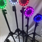 Reflexx RLT 2.0 - Reaction Light Training