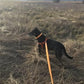 PUPTECK No Pull Dog Harness Soft Adjustable Basic Nylon Step in Puppy Vest Outdoor Walking with ID Tag Orange