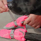 Canada Pooch Dog Boots for Hot Pavement - Dog Boots & Paw Protectors with Anti Slip Rubber | Water Friendly, Breathable Dog Shoes for Hot Days, Great for Dogs Neon Pink - Size 5