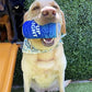 Pup Light and Pups Blue Rubbin - Parody Beer Dog Toys - Funny Plush Squeaky and Crinkle Dog Toys Dog Gifts for Dog Birthday (2 Pack) (Mix)