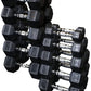 Body-Solid (GDR80-SDRS550) 10-Pairs Dumbbell with Vertical Rack - Compact Weight Storage for Home Gym, Strength Training - Rubber Coated Hexagon Shape Dumbbells with Stand