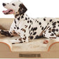 Friends Forever Orthopedic Dog Bed for Large Dogs, Waterproof Memory Foam Dog Sofa Bed L with Removable Washable Cover, Ally Khaki, 35x25x6.5