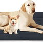 JoicyCo Soft Dog Bed Crate Pad Mat, 48 in Non-Slip Bottom Washable for Extra Large Dogs, Pet Mattress Kennel Pad, Dark Gray