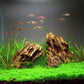 Natural Dragon Rock Carefully Selected Mixed Sizes, Decorative Aquarium Rocks, Aquarium Stones for Fish Tank (4.4lb)