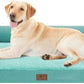 Orthopedic Large Dog Bed Washable: Large Size Dog Beds with Removable Washable Cover, XXLarge Orthopedic Aqua Blue Dog Beds for Big Pet Dogs
