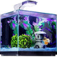Imagitarium Glass Versa Aquarium 3.7 Gallons