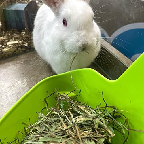 Blue Mountain Hay | Fresh Alfalfa Hay (15 Ounce) | High Leaf Retention | Nutritious High-Altitude Hay Pet Food for Rabbits, Guinea Pigs, Chinchillas, Hamsters, and Other Small Pets