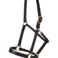 Dura-Tech Premier Lancaster Leather Halter for Horses | Simple Economy Leather Halter with Adjustable Fit & Solid Brass Hardware