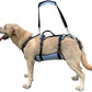 Coodeo Dog Lift Harness, Full Body Support & Recovery Sling, Pet Rehabilitation Lifts Vest for Old Dog with Arthritis Walk(Bule,L)