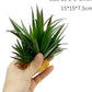 Smoothedo-Pets Reptile Artificial Plants Succulent Terrarium Decorative Desert Rainforest Plant Lizard Beard Chameleon Gecko Snake Amphibious Sea Turtle Tank Accessory (Agave-Set)