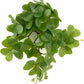 Reptile Plants for Terrarium, Amphibian Habitat Decor Artificial Hanging Plants with Suction Cup - Fake Shamrock