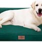 Comfort Expression Extra Large Dog Beds Jumbo Breed, Orthopedic Dog Bed Waterproof, PV Washable Pet Sofa Couch with Removable Cover & Non-Slip Bottom(Jumbo,Emerald)