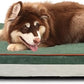Laifug Orthopedic Memory Foam Dog Bed with Durable Water Proof Liner and Removable Washable Cover (Large (46"x28"x8"), Dark Green)