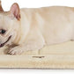 MADE 4 PETS Dog Crate Pad Bed for Medium Dogs, Washable & Reversible, Anti-Slip Kennel Mat for Cozy Sleeping, Soft Fluffy Dog Bed for Indoor & Outdoor Use, 29"x21", Beige