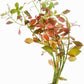 Live Plants – Ludwigia Ovalis – Moderate to High Light, Green to Orange, Midground Accent – Lead Bunch, 4 Pack