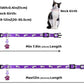 Personalized Breakaway Cat Collars Glow-in-The-Dark with ID Tag, Bell - Safety Quick - Release, Customizable for Female Male Kittens & Cats (Purple)
