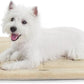 MADE 4 PETS Dog Crate Pad Bed for Small Dogs, Washable & Reversible, Anti-Slip Kennel Mat for Cozy Sleeping, Soft Fluffy Dog Bed for Indoor & Outdoor Use, 24"x18", Beige