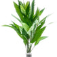 Live Plant - Nomaphila Stricta - Easy Care, Moderate to High Light, Green Accent, Freshwater Aquatic Plant for Aquascaping - Lead Bunch