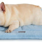 Made4Pets Dog Crate Pad Bed for Medium Dogs, Washable & Reversible, Anti-Slip Kennel Mat for Cozy Sleeping, Soft Fluffy Dog Bed for Indoor & Outdoor Use, 29"x21", Blue