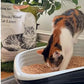 KOCHO Hinoki Wood Cat Litter Ultra Lightweight, Fresh Scent of Japanese Cypress (7pcs Pack (23.8LB))