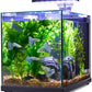 Imagitarium Glass Versa Aquarium 6.6 Gallons