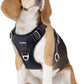 Funfox Dog Harness No Pull, Adjustable Pet Vest Harness, Super Soft Material with Vertical Handle Easy Control, Reflective Night Walking, 2 Leash Clips for Medium Sized Dogs, Black, M