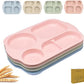 12 Inch Divided Plates4 PCS - Reusable Unbreakable Wheat Straw Plates, Dinnerware Lunch Tray Plates Tableware for Kitchen, Picky Eaters, Campers and Portion Control (Blush)