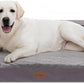 Comfort Expression Jumbo Dog Bed for Extra Large Dogs, Large Breed Waterproof Orthopedic Dog Bed, PV Washable Dogs Sofa Beds with Removable Cover & Non-Slip Bottom(Jumbo,Purple)