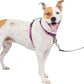 PetSafe 3 in 1 Dog Harness - No Pull Solution for Dogs - Reflective Dog Harness - Front D-Ring Clip Helps Stop Pulling - Comfortable Padded Straps - Top Handle Enhances Control - Plum - Medium